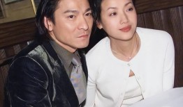 拒刘德华求婚却遭丈夫家暴12年“香港第一美女”如今现状曝光